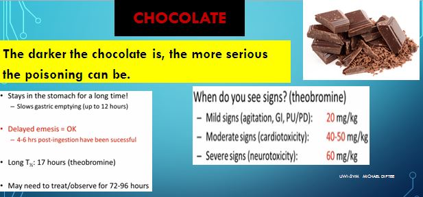 Symptoms Of Chocolate Poisoning In Adults